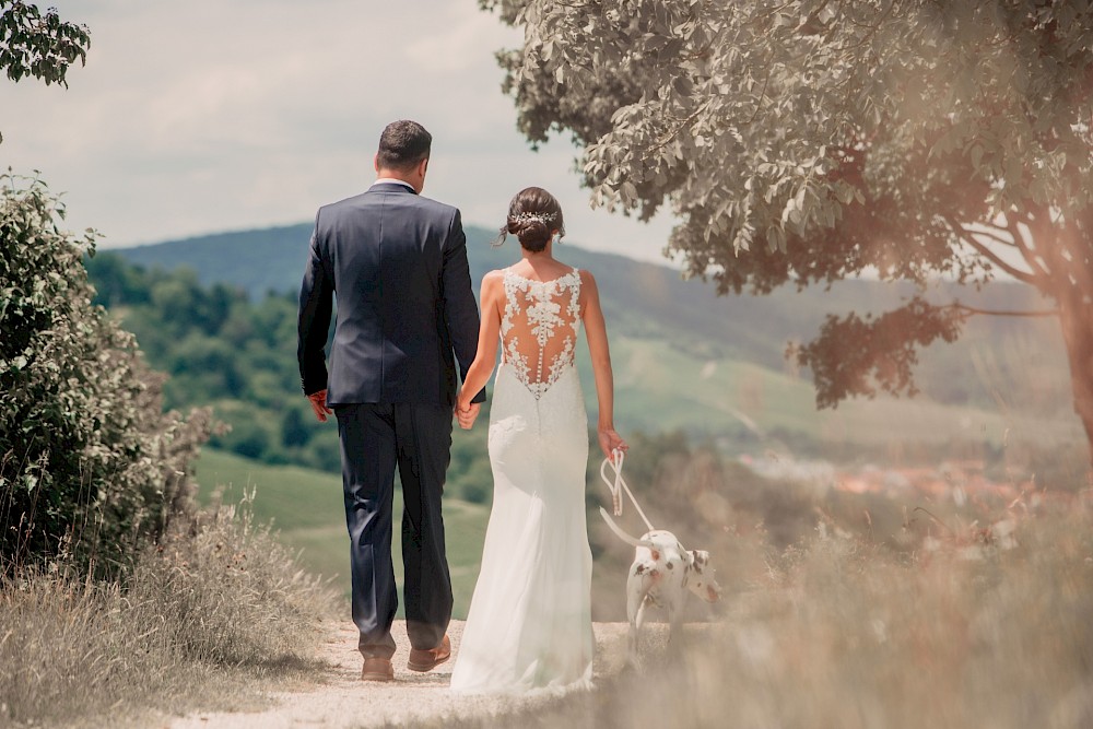 reportage Dalmatinerhochzeit in den Weinbergen 17