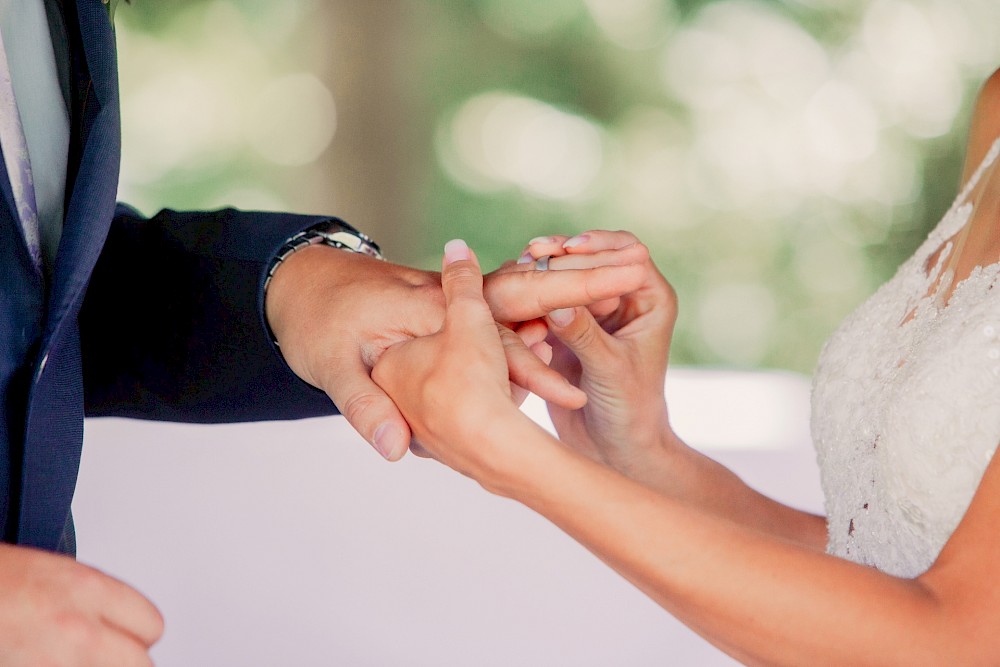 reportage Dalmatinerhochzeit in den Weinbergen 20