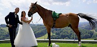 Hochzeit mit Pferd und Hund am Weingut Schilhan