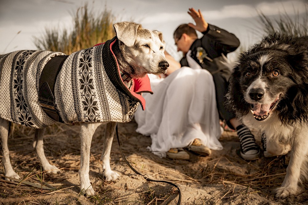 reportage Elopement Wedding am Strand von Schillig 49