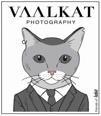 Logo VAALKAT PHOTOGRAPHY