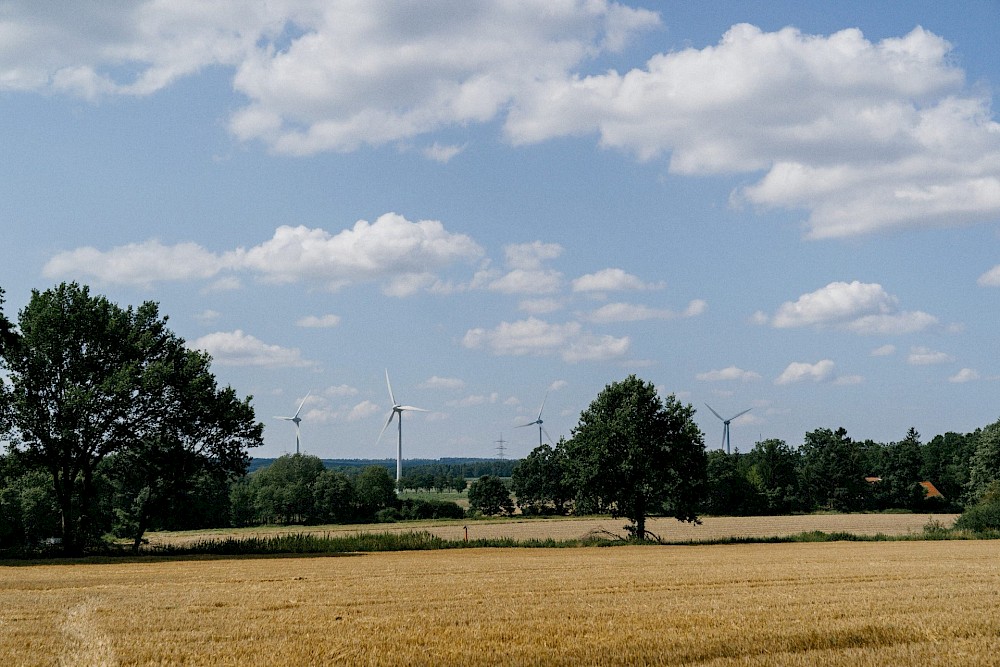 reportage Traumhochzeit in der Lüneburger Heide 2