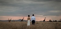 Safari-Hochzeit in der Serengeti