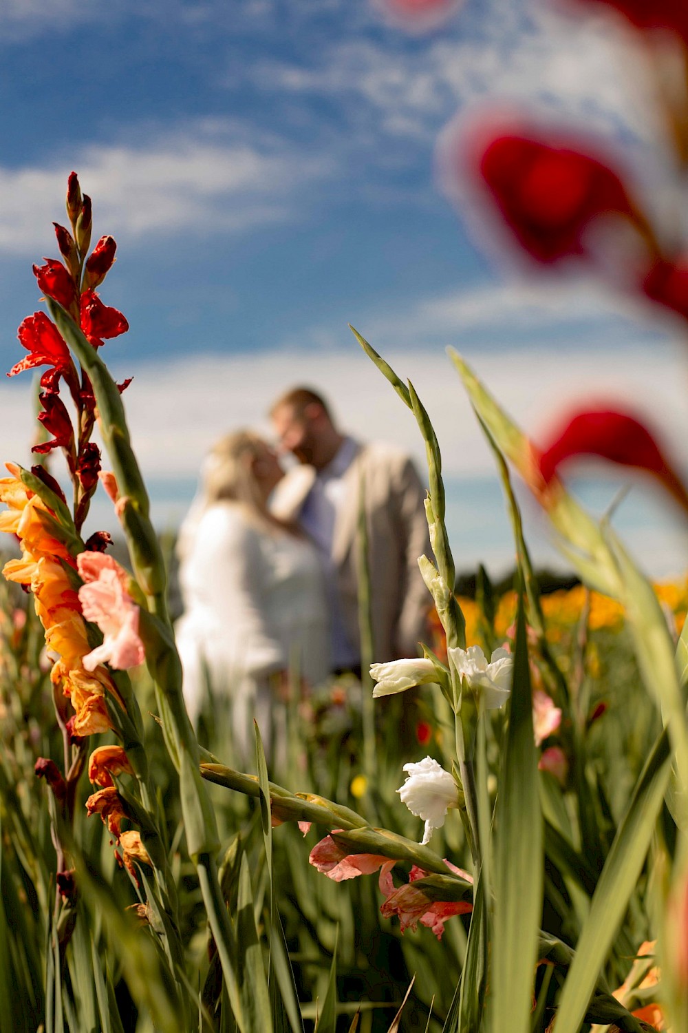 reportage Elopement in Grömitz 17