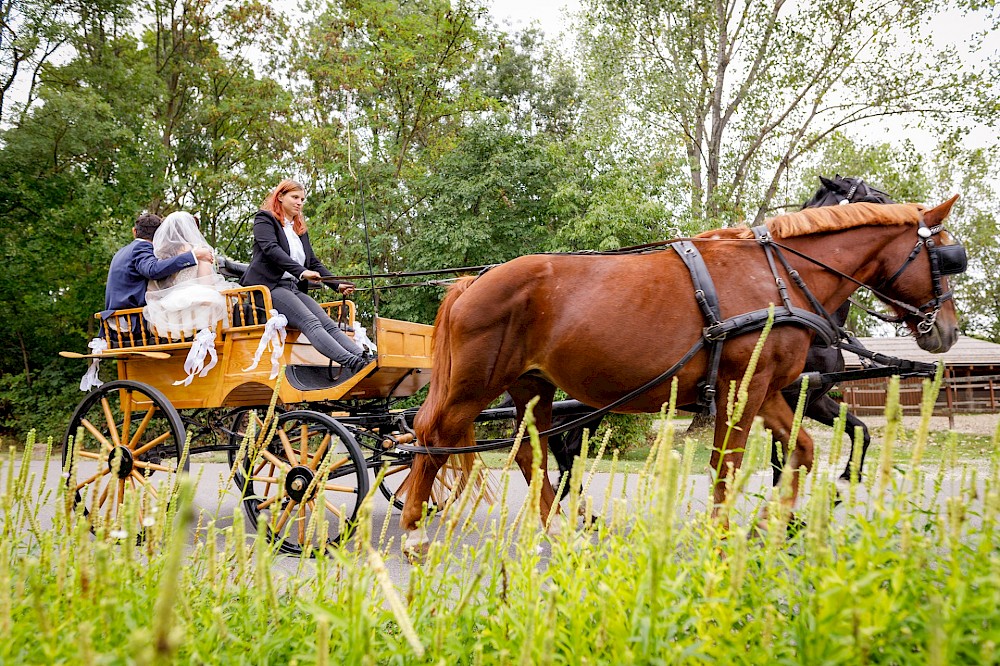 reportage Hochzeit in Vila Vita Pannonia 18