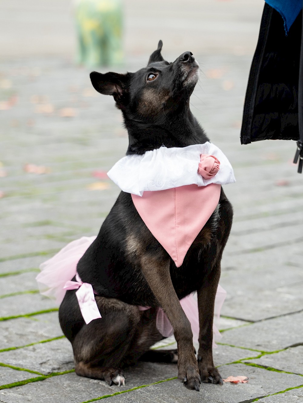 reportage Hochzeit Standesamtlich 9