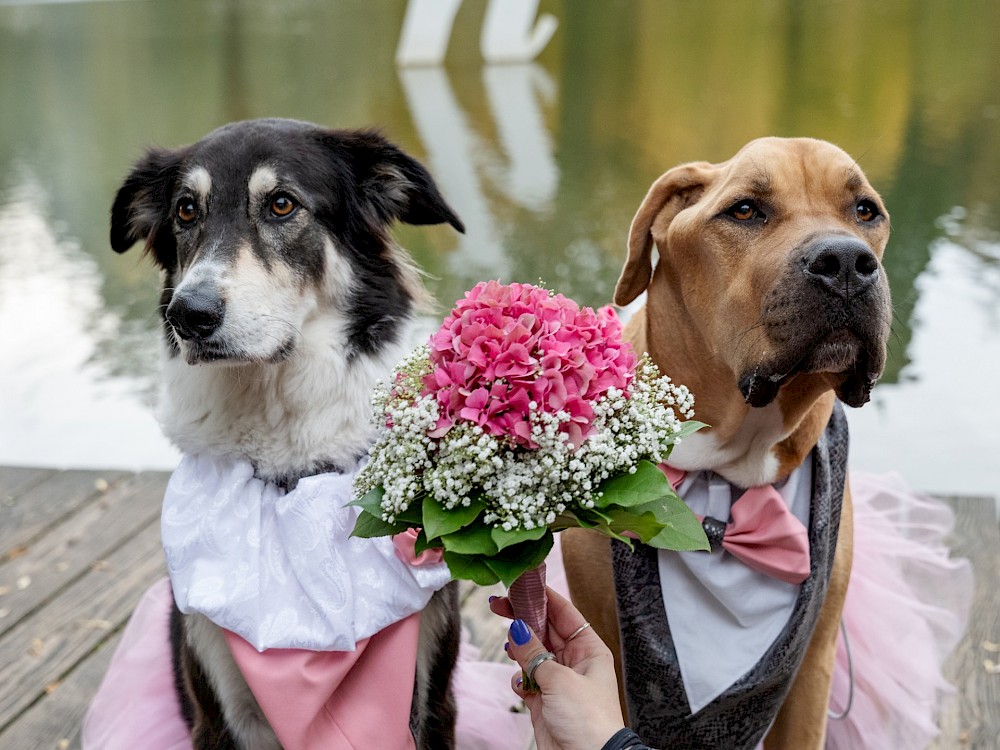 reportage Hochzeit Standesamtlich 16